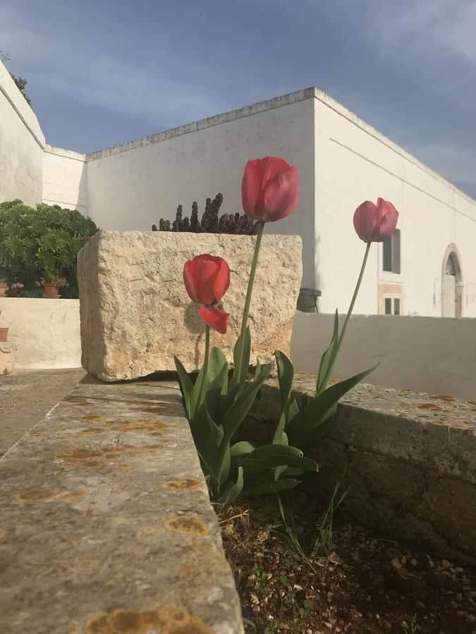 Masseria Rienzo Ostuni Exteriör bild