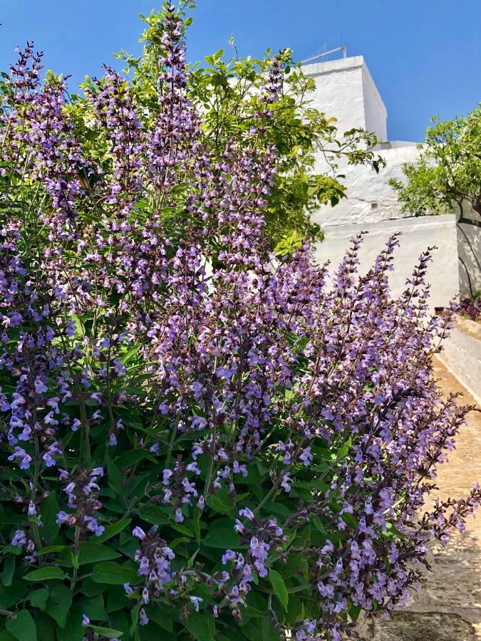 Masseria Rienzo Ostuni Exteriör bild